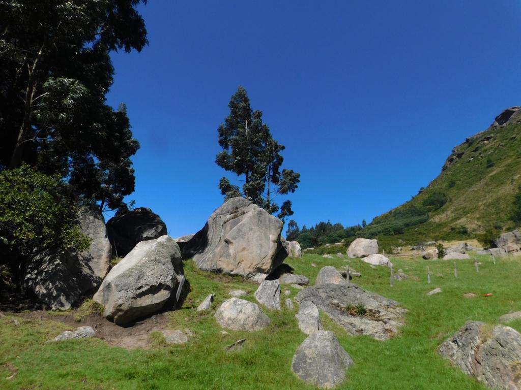Farallones